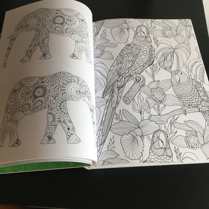 Livro Criatividade é Mindfulness Mandalas