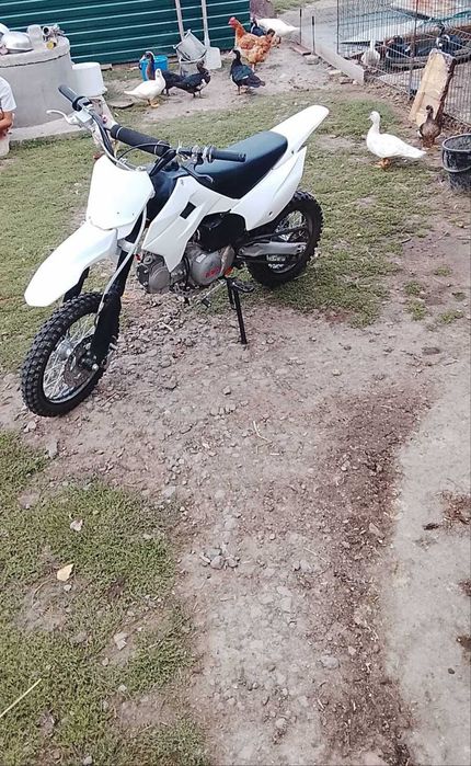 Пітбайк  кайо тт 125,їде бодро