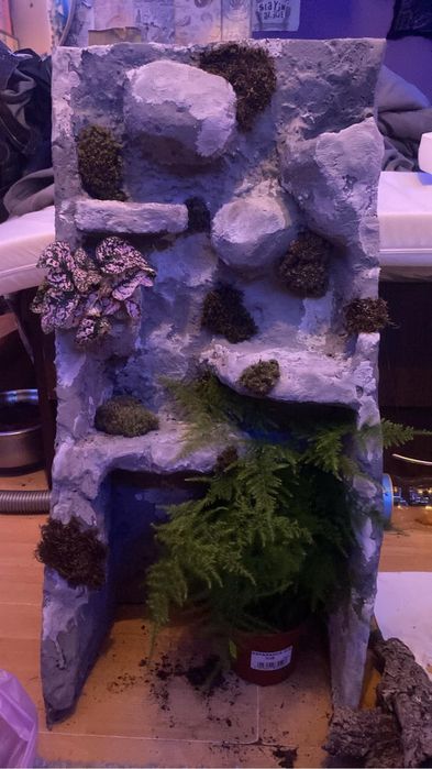 Terrarium 35 x 35 x 70 cm