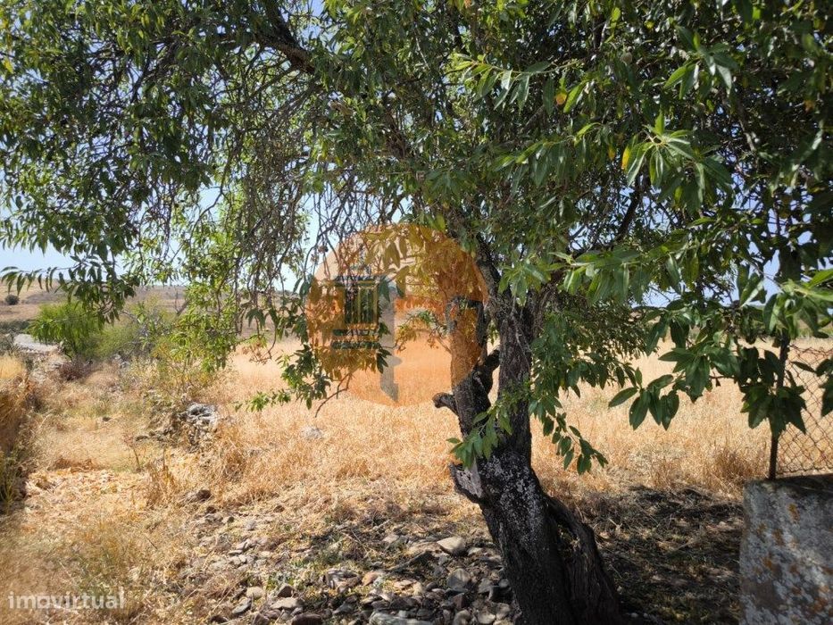 Terreno Com 4.000 M2 - Para Construção - Na Aldeia De Tesouro - Em ...