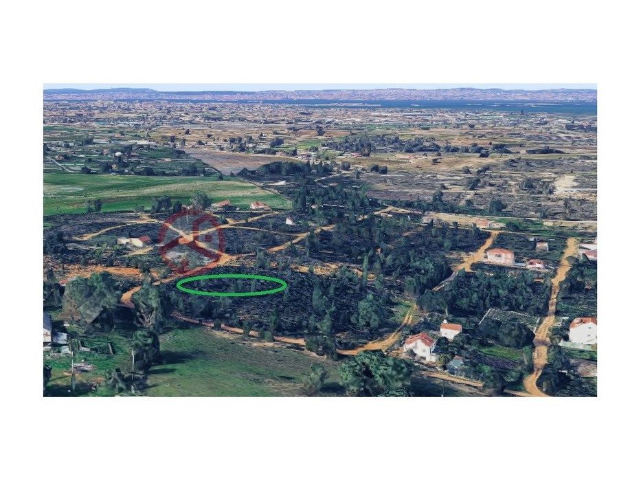 Dois Terrenos Rústicos com 1,125m2 em Pinheiro Ramudo, Quinta do Anjo — Quinta do Anjo, Setúbal