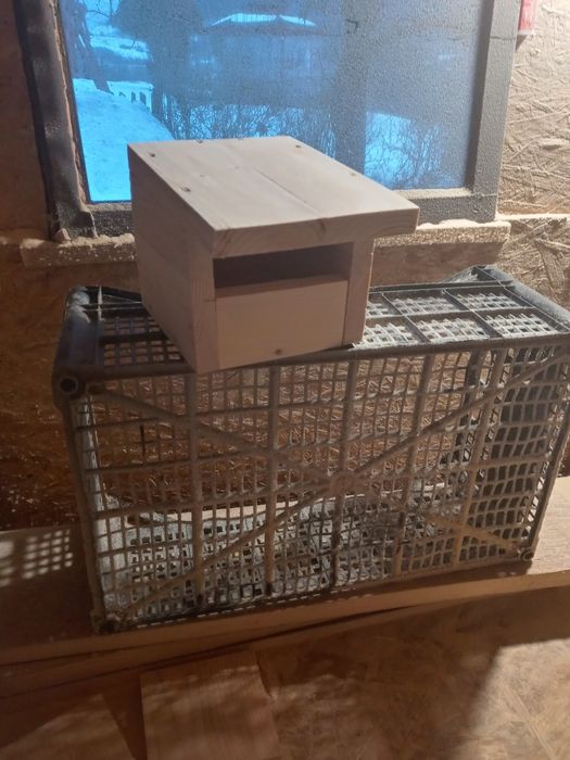 Budki dla ptaków polecam