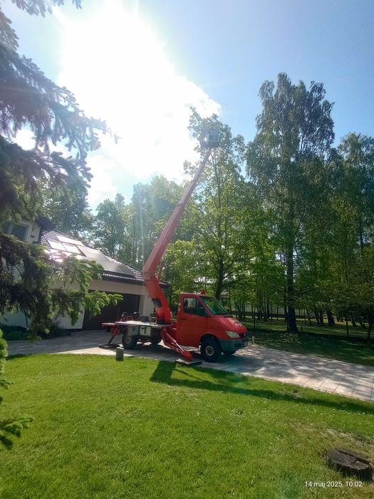 WYCINKA DRZEW - Pielęgnacja  drzew - Usługi podnośnikiem koszowym.
