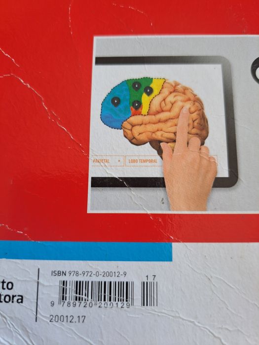 Livro Aberto Português 5 ano caderno de atividades