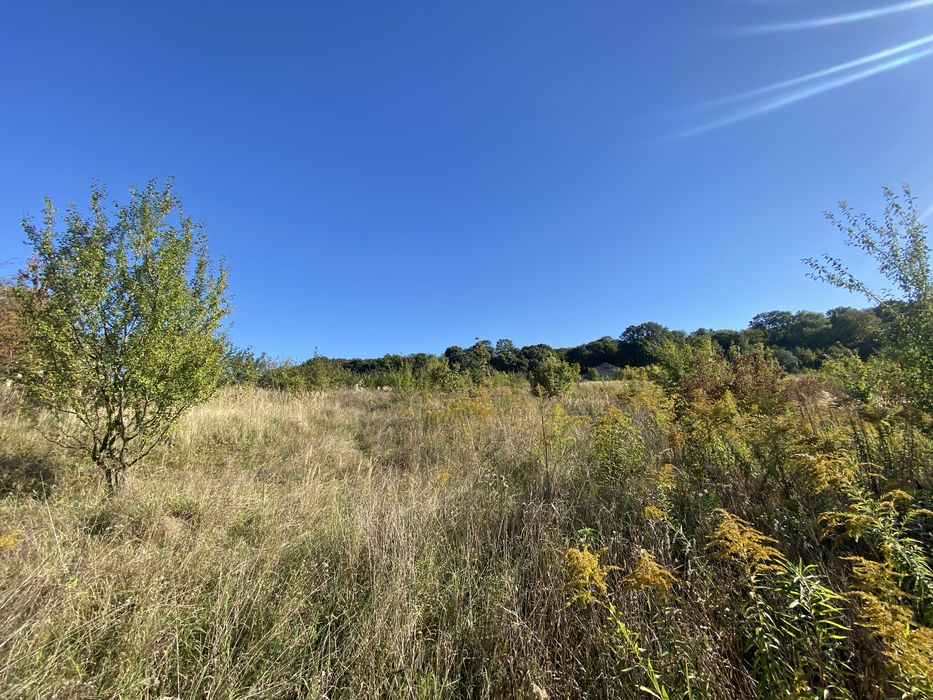 Продаю ділянку в Чистилові