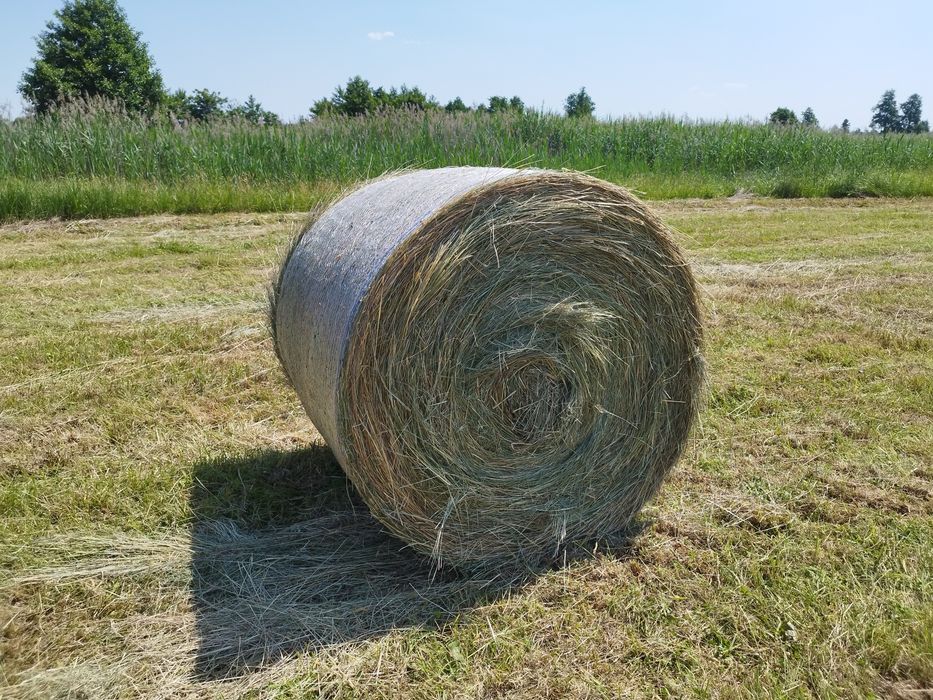 Bele, belki, baloty, prasowanie, zwijanie, belowanie.