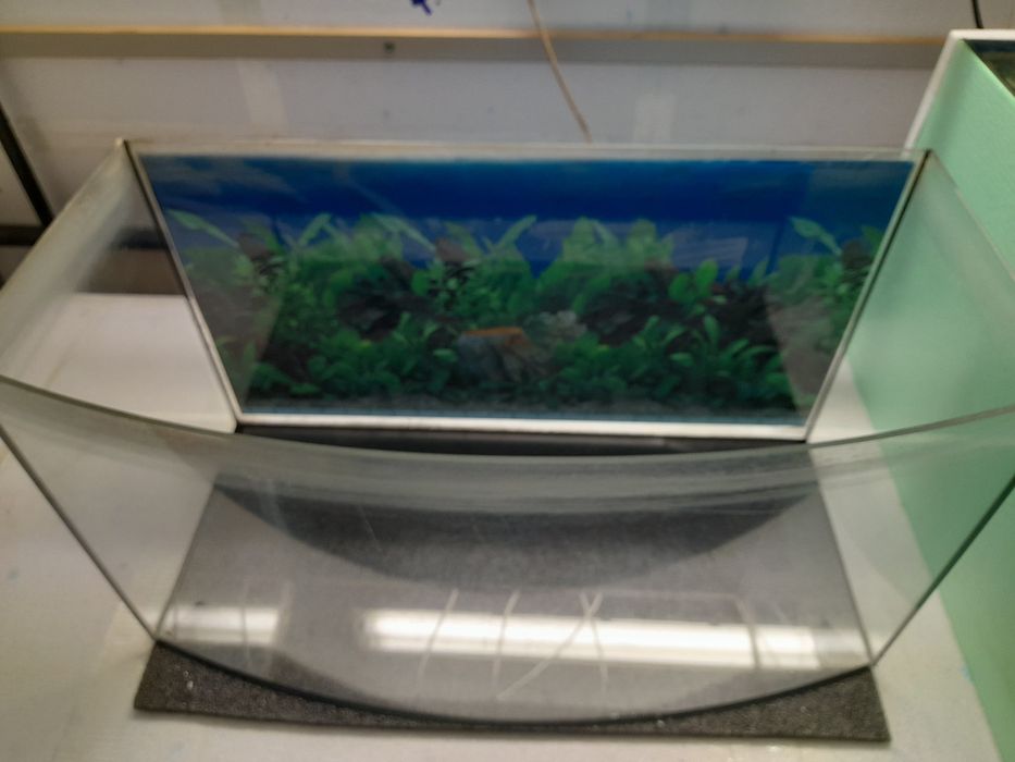 Akwarium 50 l szczelne