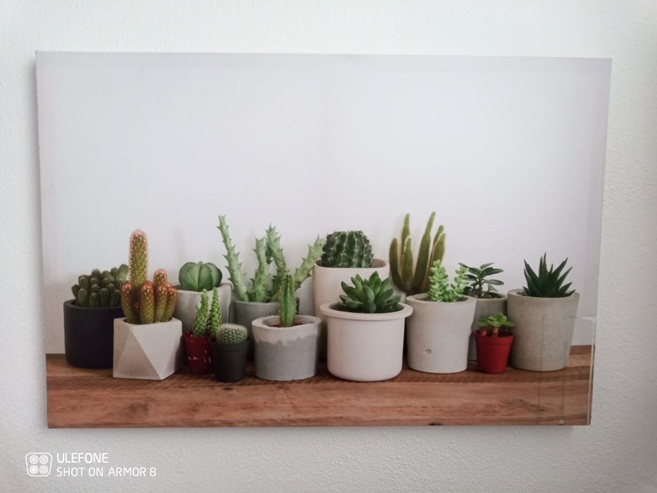 Quadros decorativos
