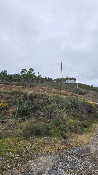 Terreno em Mação