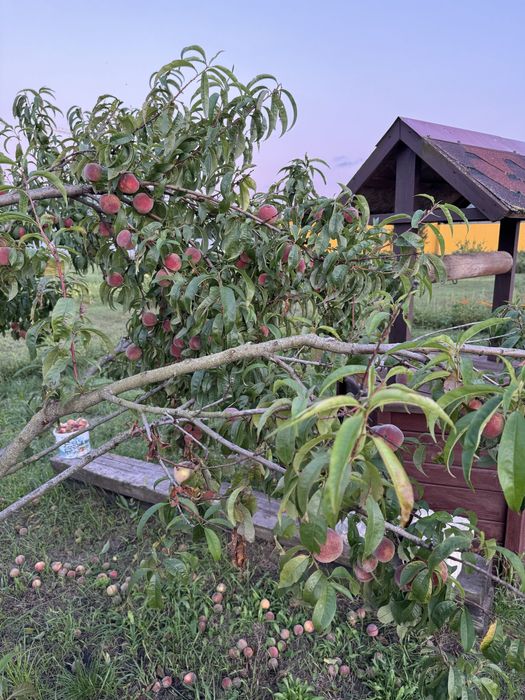 Продам земельну  ділянку