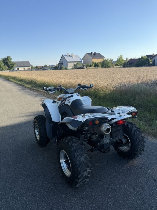 Can am renegade 500