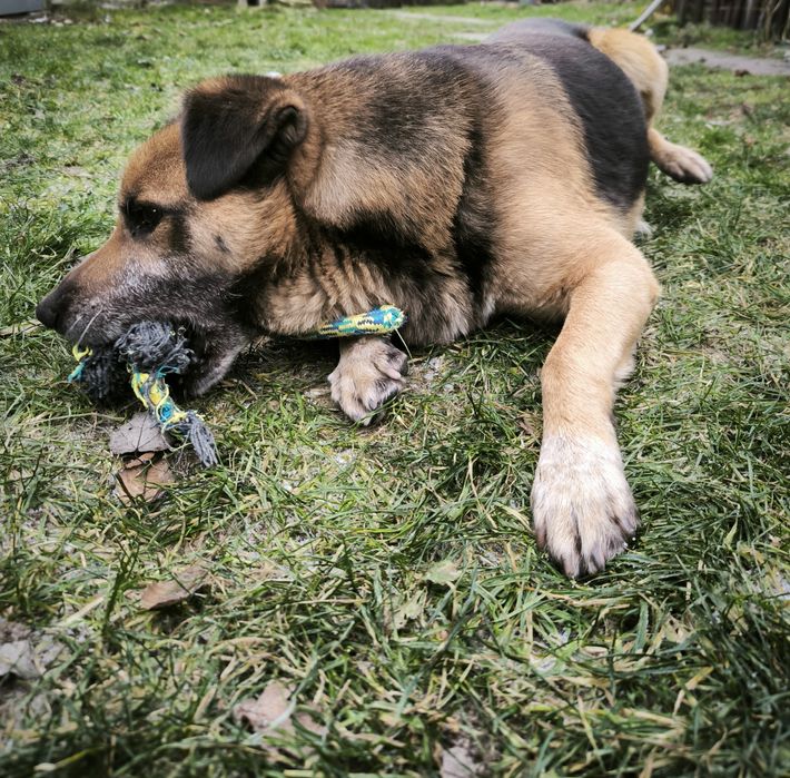 Kuba szuka nowego domu