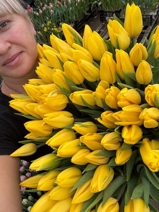 Тюльпани опт до 8 березня