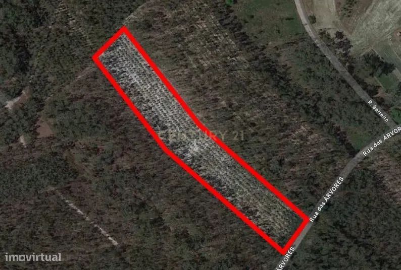 Rustic Land Plot – Unique Opportunity for €11,500