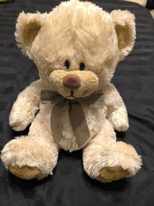 Ведмедик Play& Learn