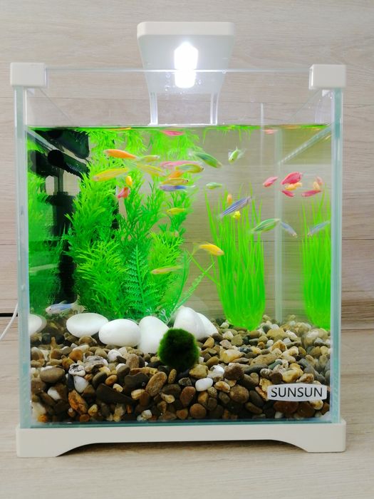 Акваріумний комплект з рибками 10л | Все включено | Доставка по Києву