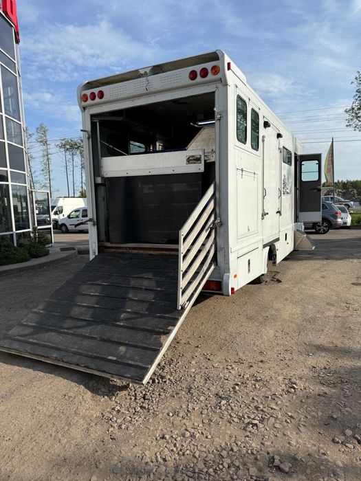 MAN L2000 TGL KonioWóz 4-7 KONI Idealny Stan ROELOFSEN Kamper Horse