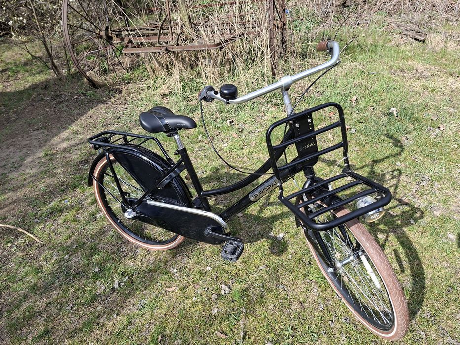 Rower miejski Popal. Shimano, nexus