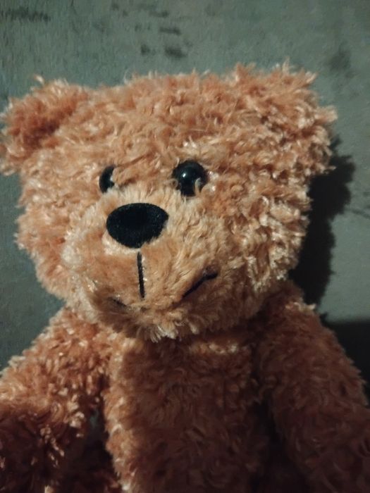 Sprzedam maskotkę misia