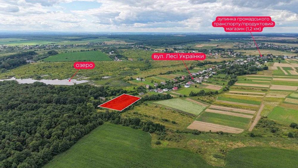 Продаж / Земля/будівництво/Ставчани/Львівська область