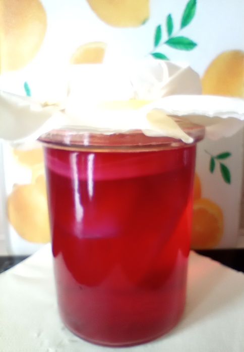 Kombucha żurawinowa - grzybek herbaciany+ starter