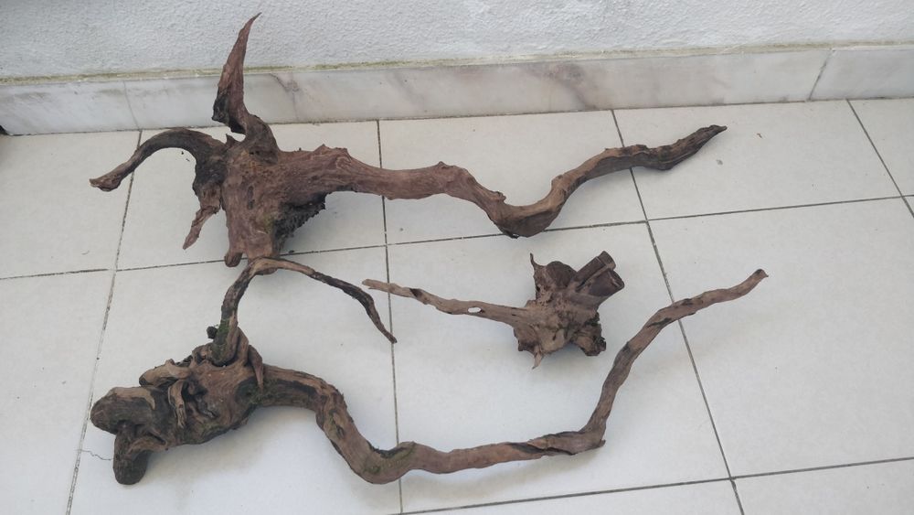 Troncos Tratados Aquário