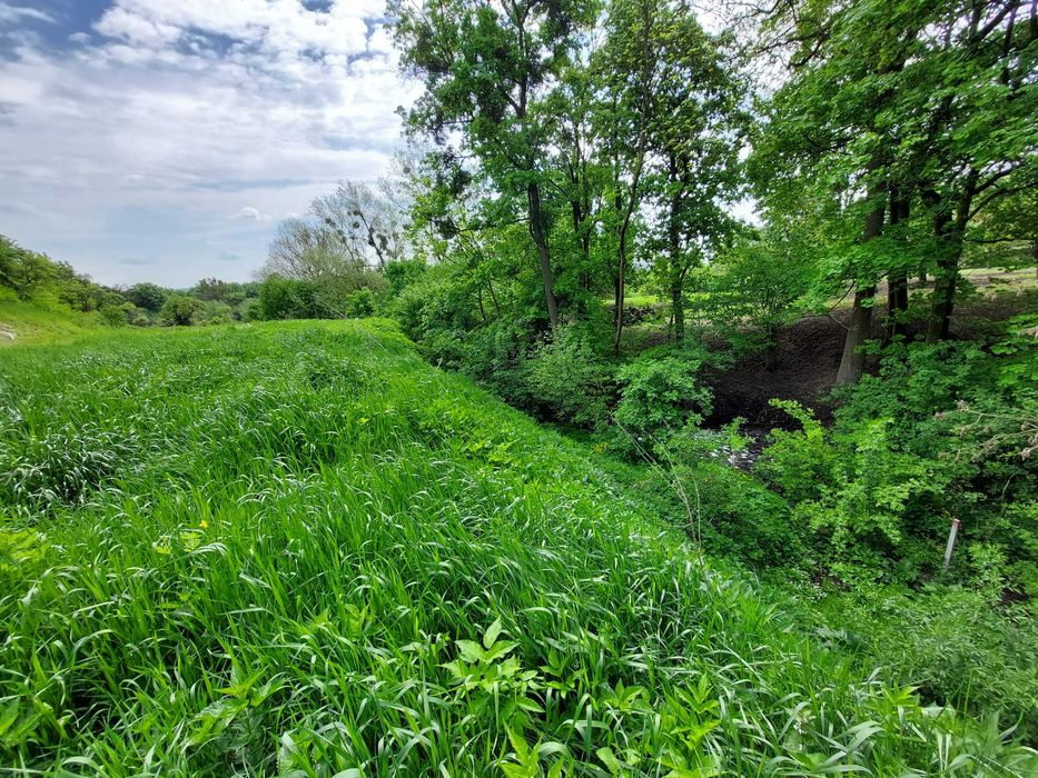 Działka z WZ / Opalenie / Dolina Wisły