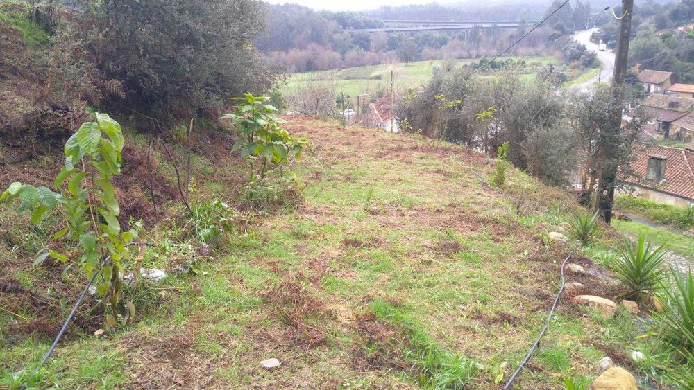 Vendo Terreno, com excelente área e várias possibilidades de construção . Já tem projeto aprovado.