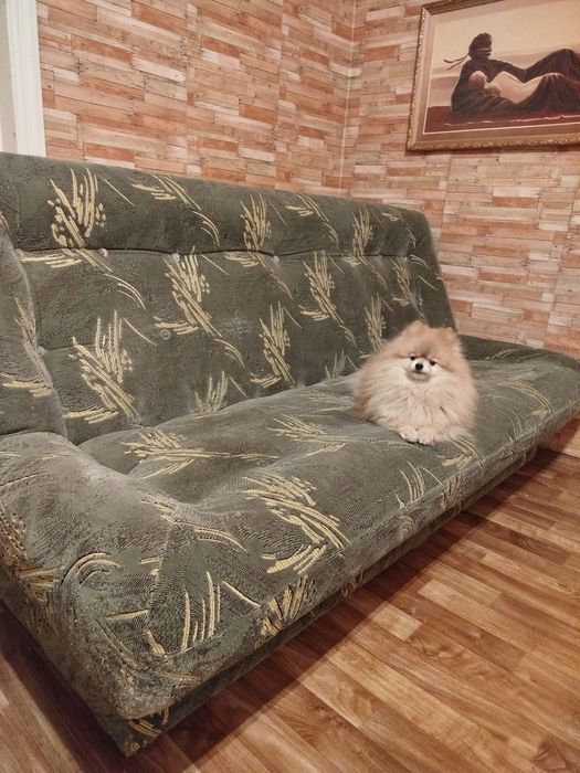 Продам диван книжку. Доставка