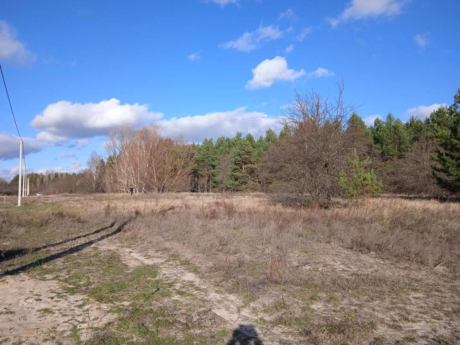 Плесецкое.(Перевоз) Участок 12.5сот., (в окружении леса)
