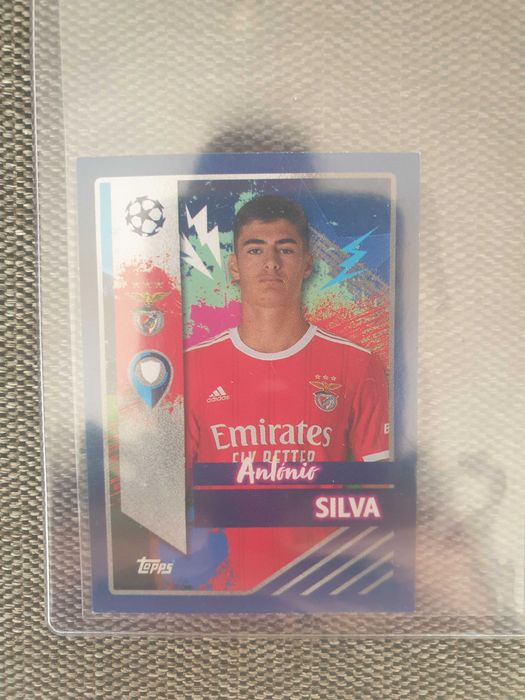 Panini cards numeradas