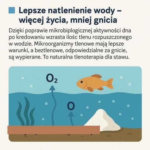Kreda do oczka wodnego w grudach i bryłach