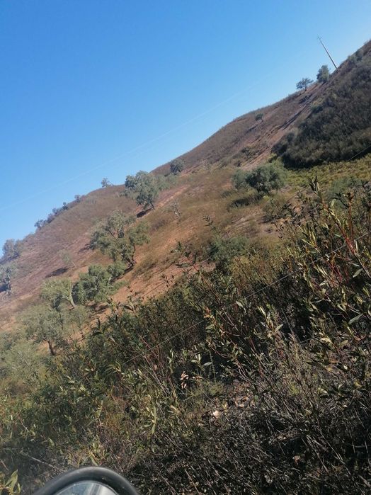 Terreno com ruína perto de São Teotónio zambujeira do mar