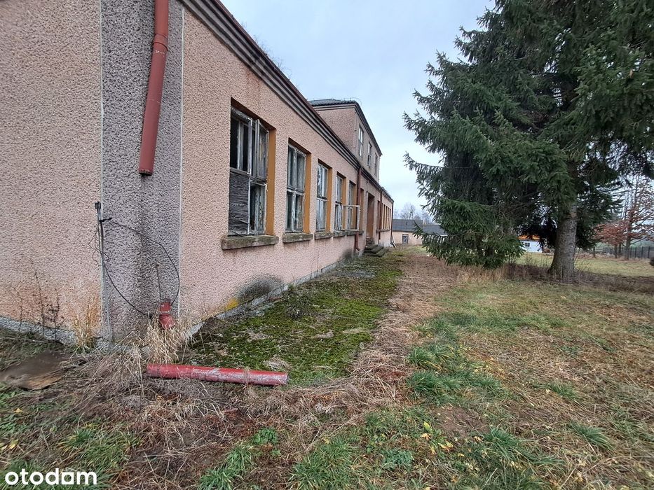 Zdjęcie 6
