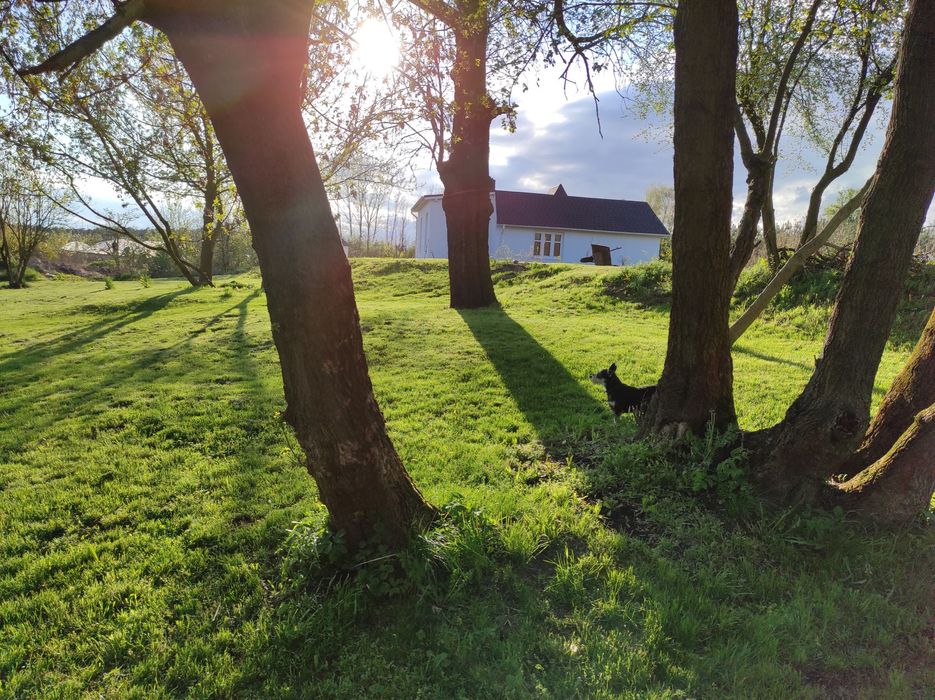 Sprzedam unikalny dom otoczony naturą