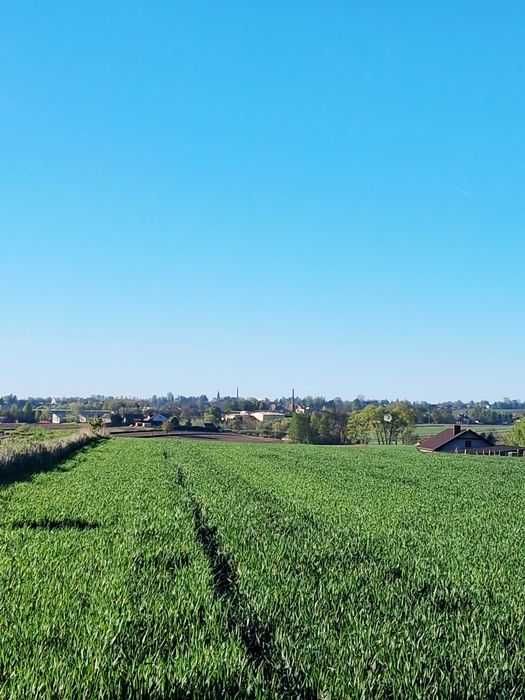Sprzedam atrakcyjną działkę budowlano-zagrodową  UZBROJONĄ 57,75 ara. ,LAS Zalew rower nordic walking lotnisko PPG paralotnia - View 6