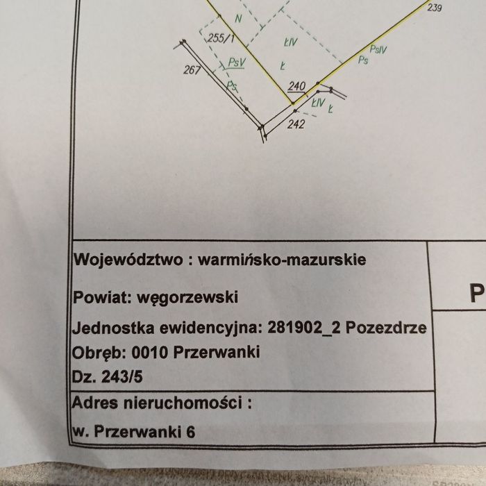 Działka budowlana 4300 m² na Mazurach – Przerwanki, blisko jeziora Gołdopiwo - Widok 3