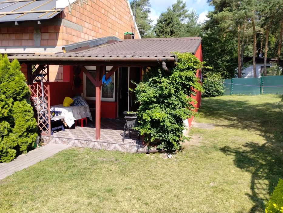Wynajmę domek letniskowy w Dębcu Nowym