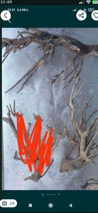 Коряги в аквариум, терариум