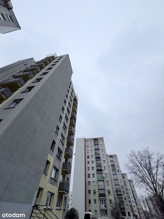 Kawalerka Gliwice