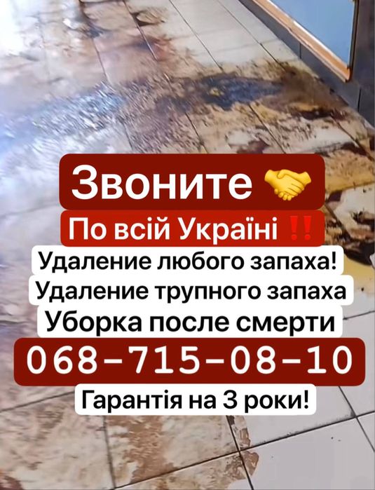 Удаление запаха - уборка после смерти . Дезинфекция тараканов, Озон .