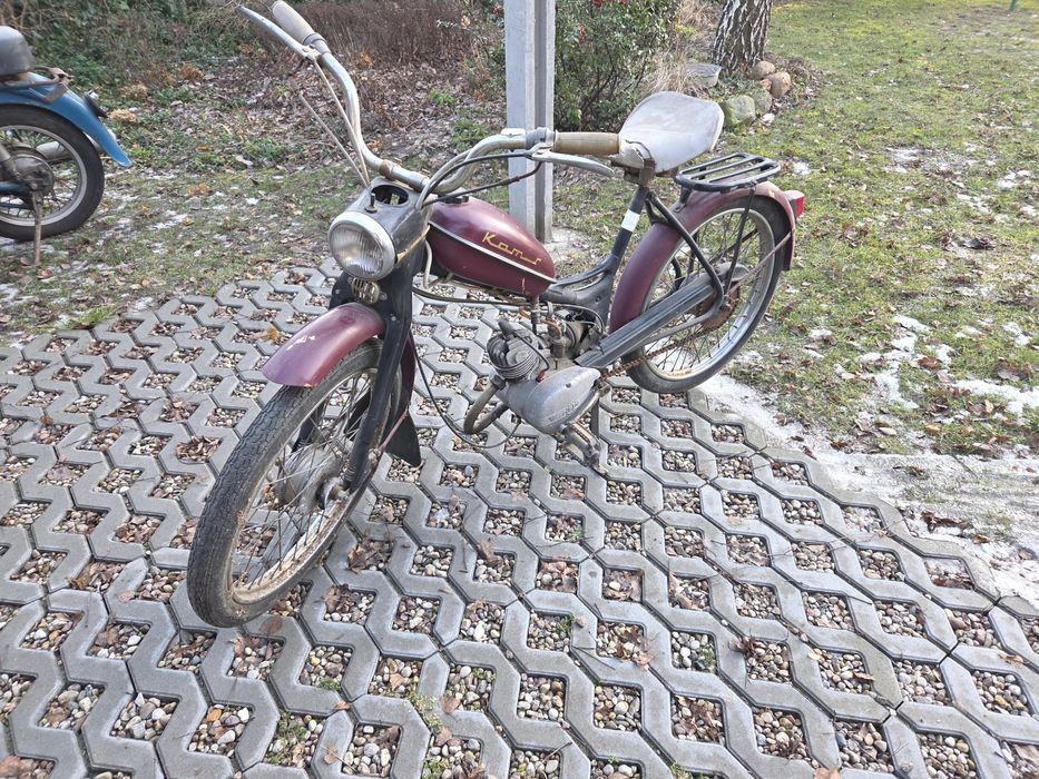 Komar sztywniak 2320