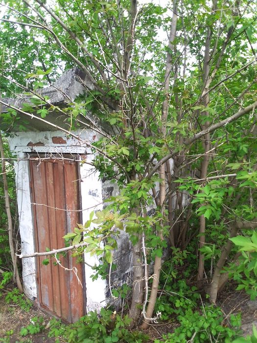 Продам дом старая водолага)))