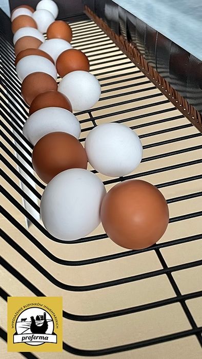 Gniazdo dla kur - z matą wyściółkową