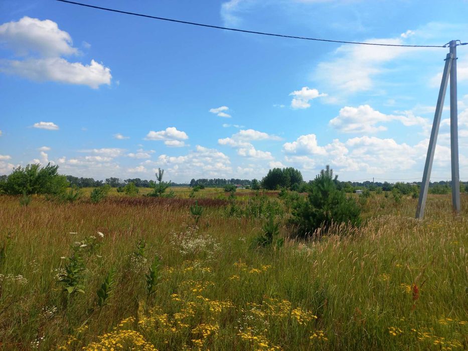 Рожівка, 15 соток на житловій вулиці з комунікаціями