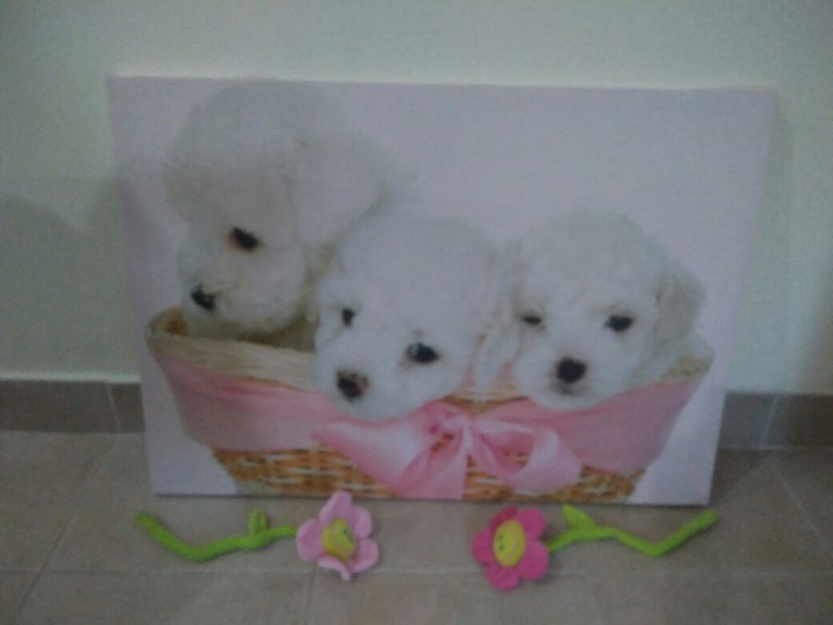 Quadro tipo Tela com Cachorrinhos
