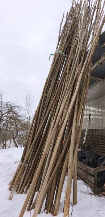 Продам тички для квасолі,томатів...