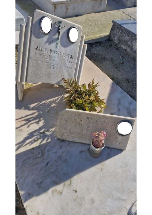 Metade de Prédio Urbano e Direito ao uso de sepultura