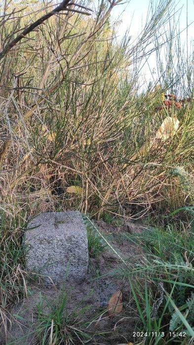 Geodeta - Usługi geodezyjne - Doradztwo w sprawach nieruchomości