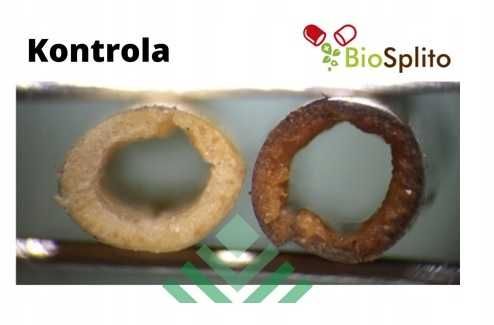 Biosplito preparat do rozkładania resztek pożniwnych na 2 hektary